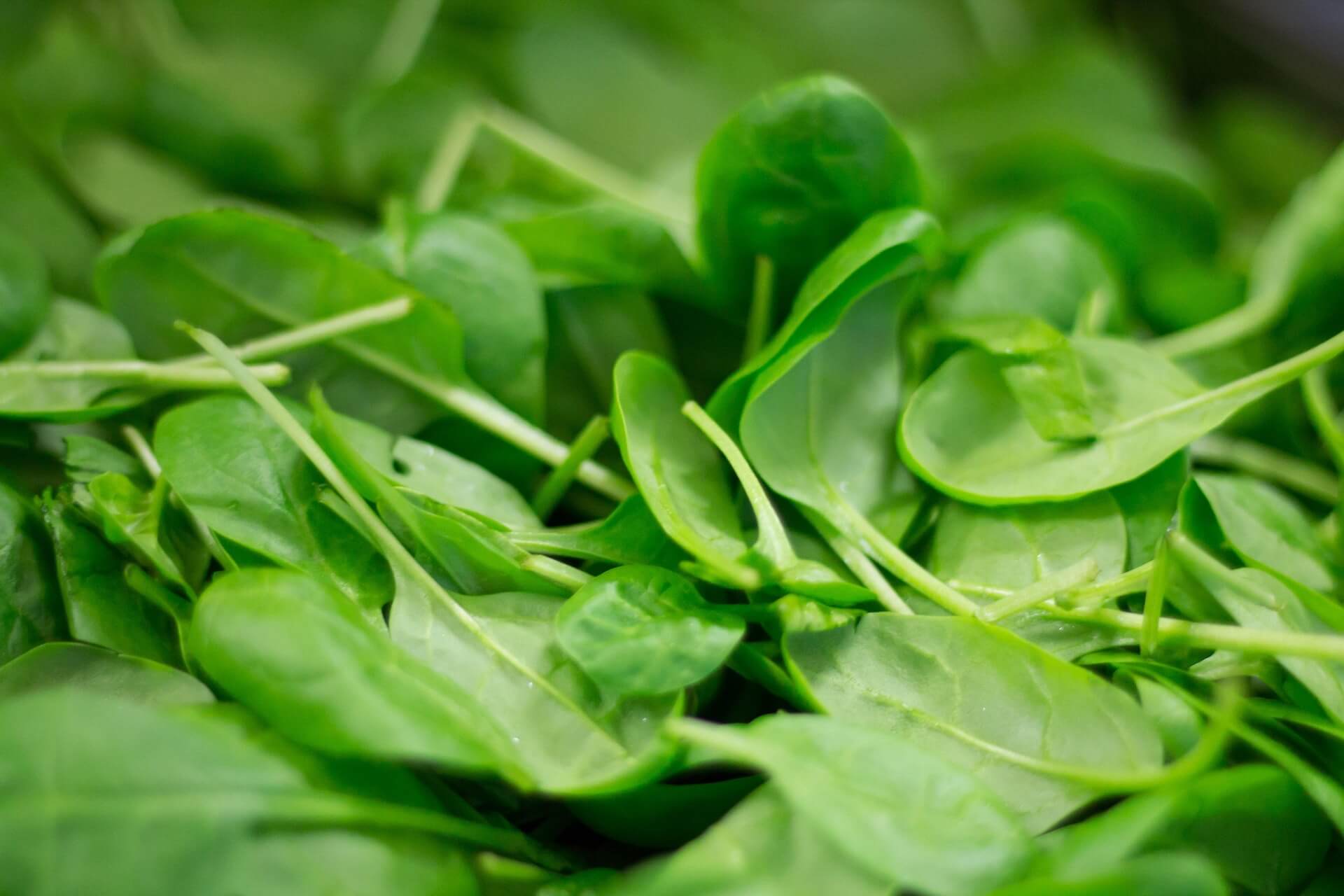 Why Leafy Green Vegetables Are Essential for Diabetics